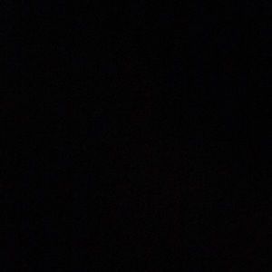 Meet your Posher, Bridget